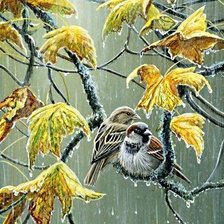 Схема вышивки «птички-невелички»