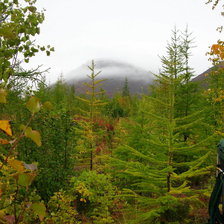 Схема вышивки «Тундра в августе»