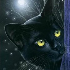 Схема вышивки «взгляд»