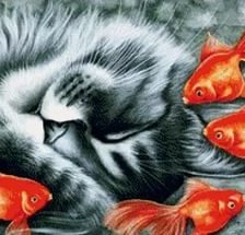 золотые рыбки