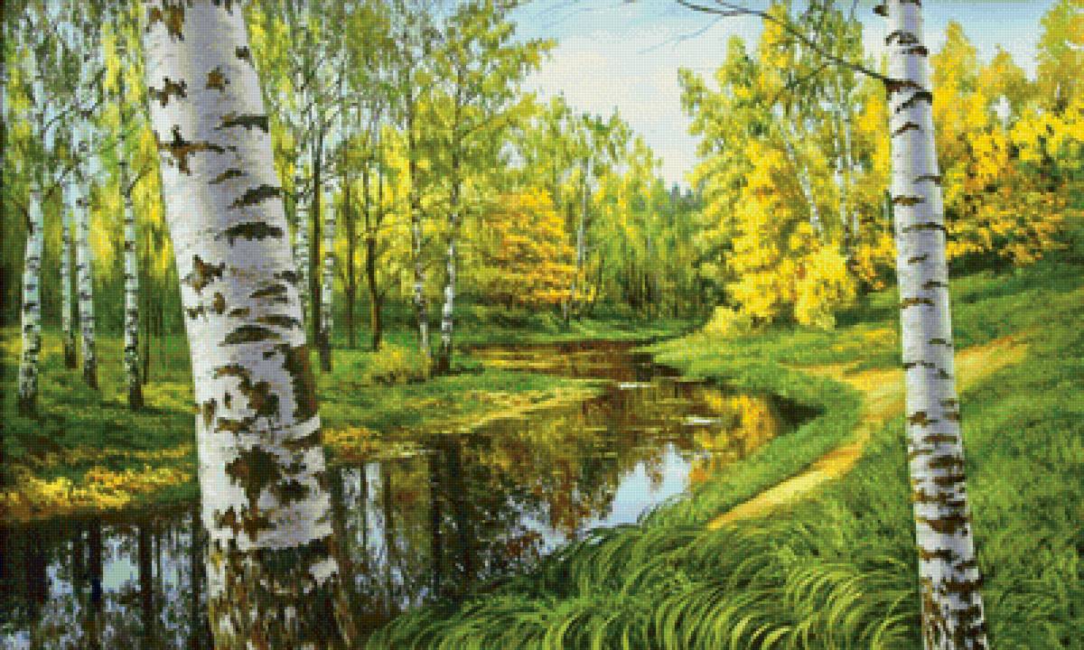 Начало осени. Березы. - березы, осень, природа, пейзаж, лес, река - предпросмотр