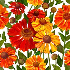 Схема вышивки «Цветы»