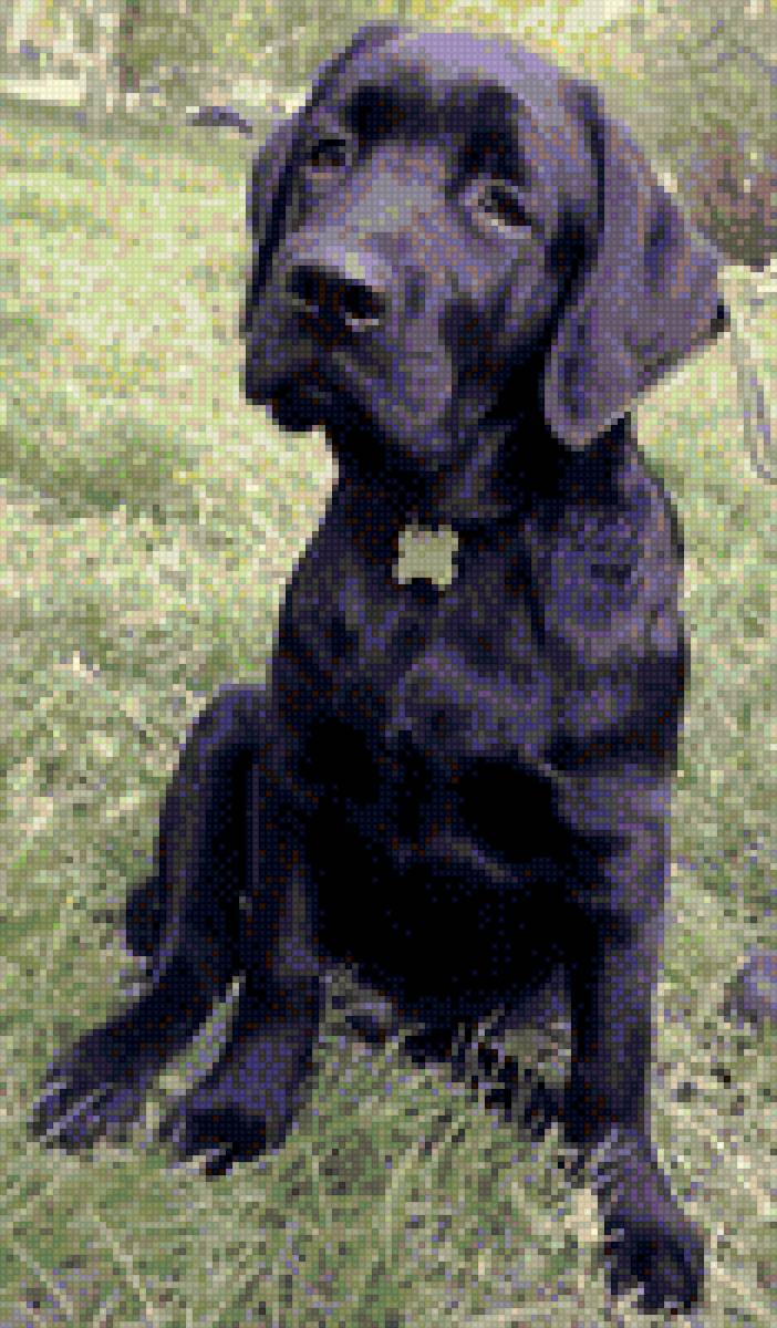 Елисей - предпросмотр