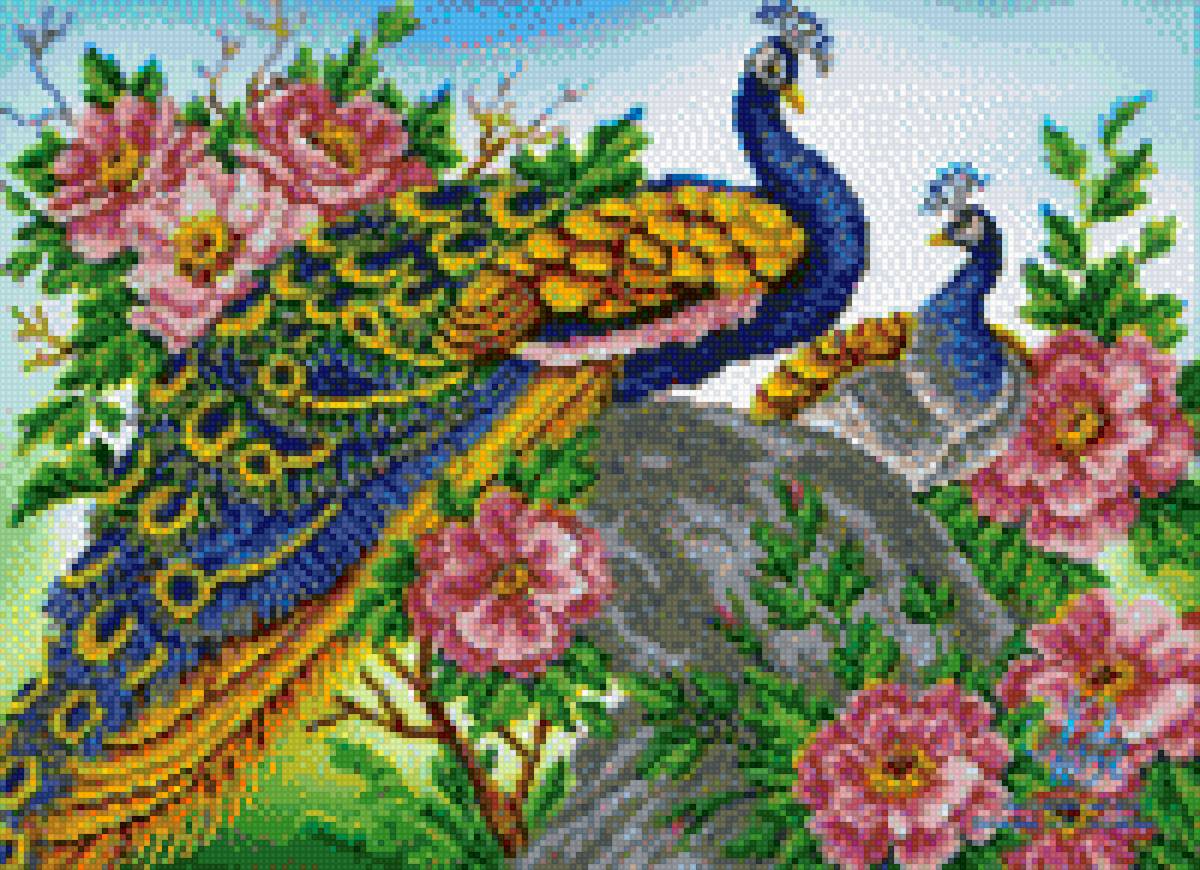 Павлины мои - предпросмотр