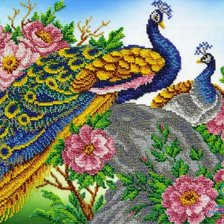 Павлины мои