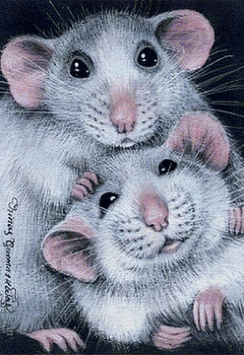 мышатки - предпросмотр