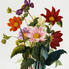 Схема вышивки «букет»