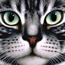 Схема вышивки «№1268152»