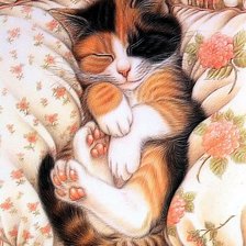 Схема вышивки «милее кошки - зверя нет»