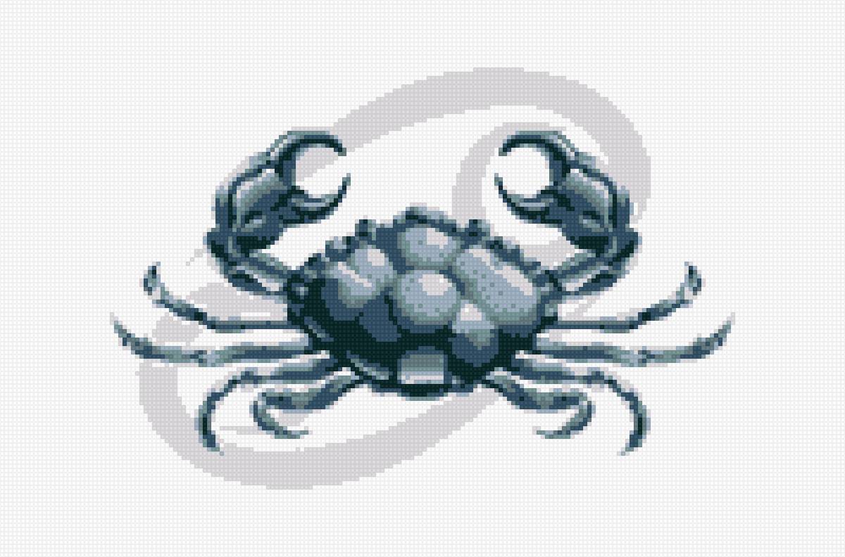 рак - предпросмотр