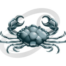 Схема вышивки «рак»