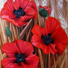 Схема вышивки «маки»