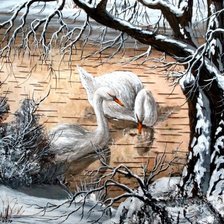 Схема вышивки «зимние лебеди»