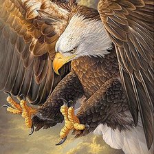 Схема вышивки «хозяин неба»