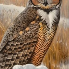 Схема вышивки «№1269562»