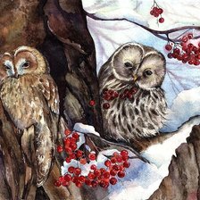 Схема вышивки «совушки зимой»