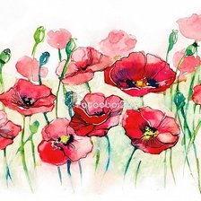 Схема вышивки «маки»