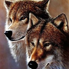 Схема вышивки «пара»