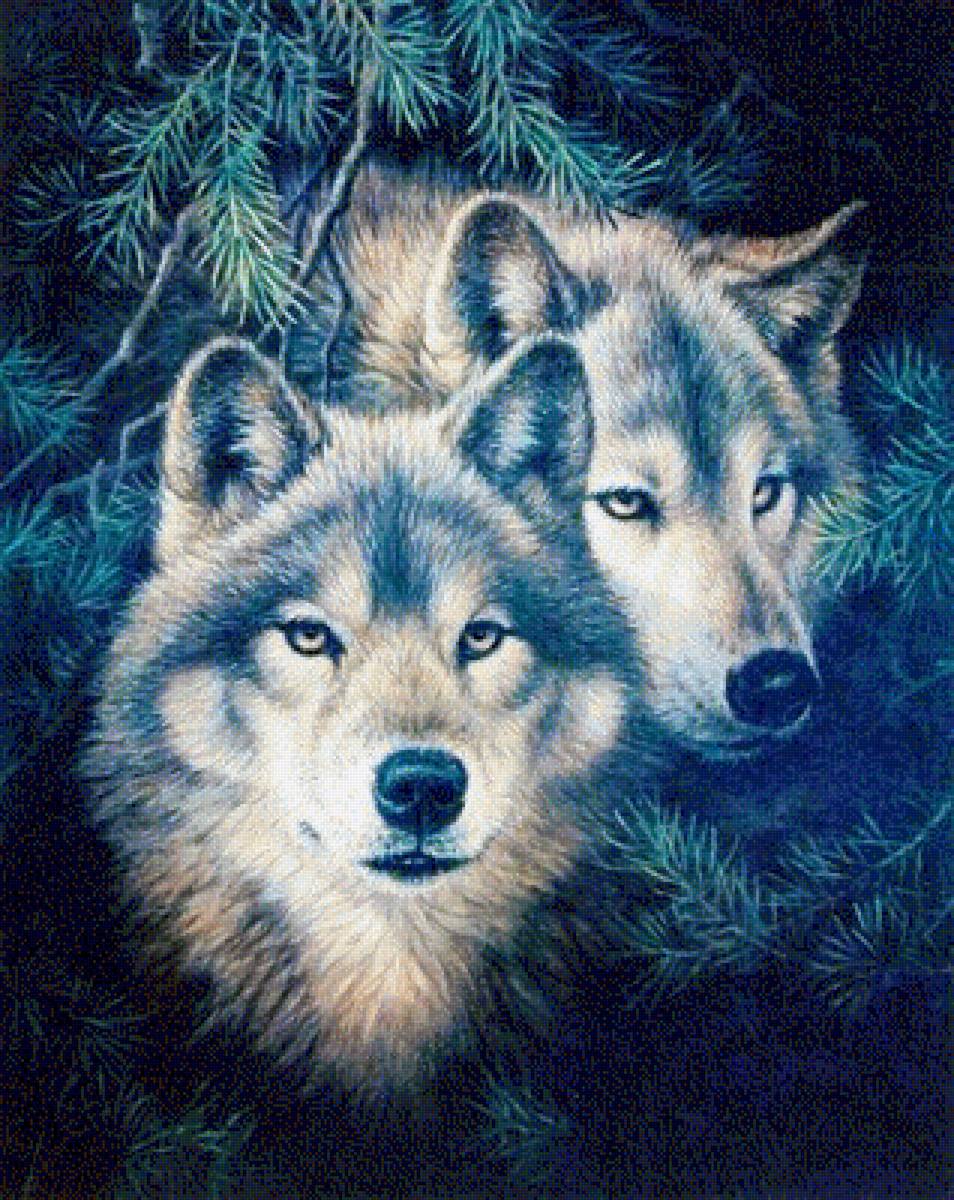 пара - волки - предпросмотр