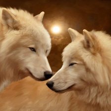 Схема вышивки «пара»