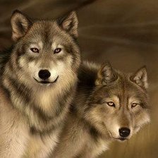 Схема вышивки «пара»