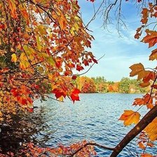 Схема вышивки «пейзаж»