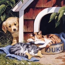 Схема вышивки «не жданные гости»