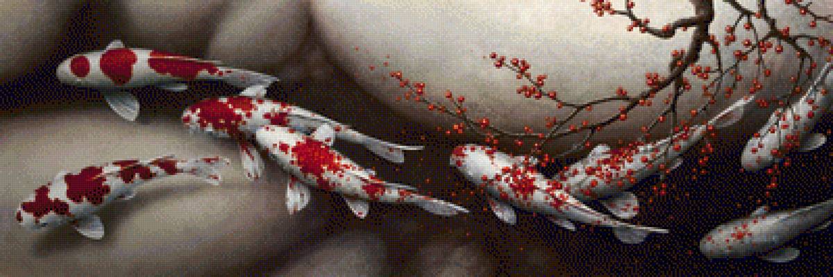 Карпы Кои - карпы, рыбки - предпросмотр