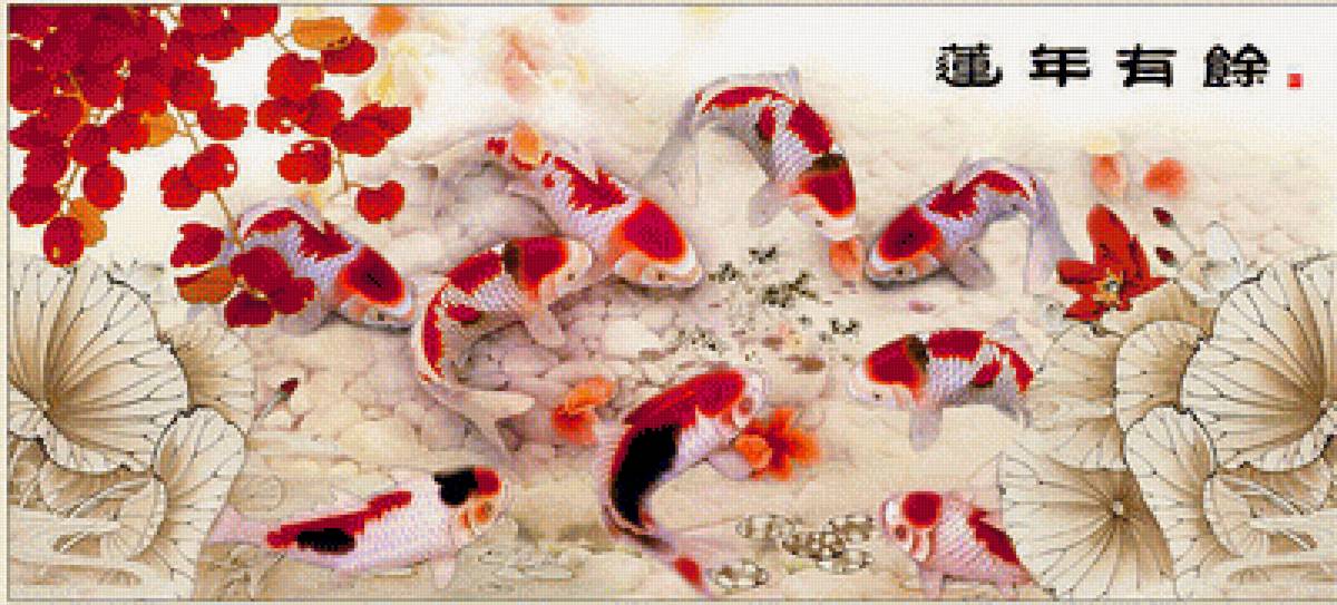 Карпы Кои - рыбки, карпы - предпросмотр