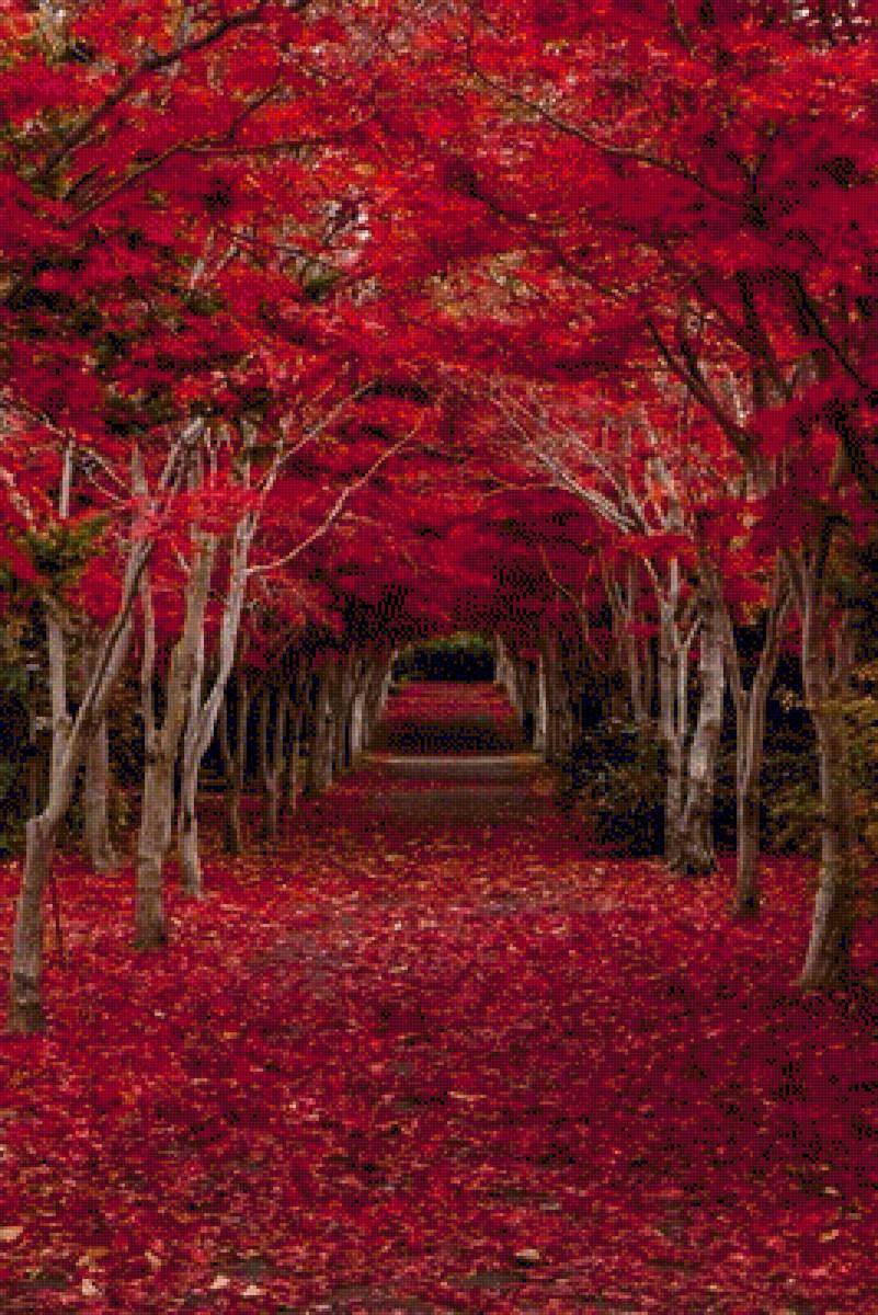 осенняя дорога - пейзаж, осень, дорога - предпросмотр