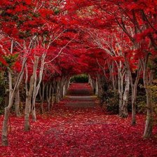 Схема вышивки «осенняя дорога»