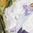 Предпросмотр схемы вышивки «Ирисы. Антонио Джанильятти» (№1270367)