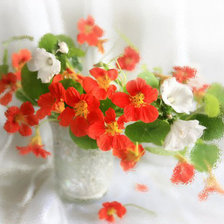 Схема вышивки «Натюрморт с настурциями»