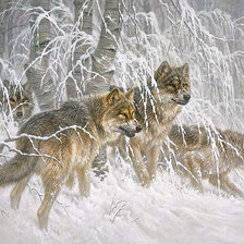 Схема вышивки «Стая»