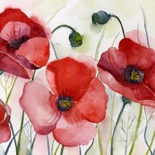 Схема вышивки «макии»