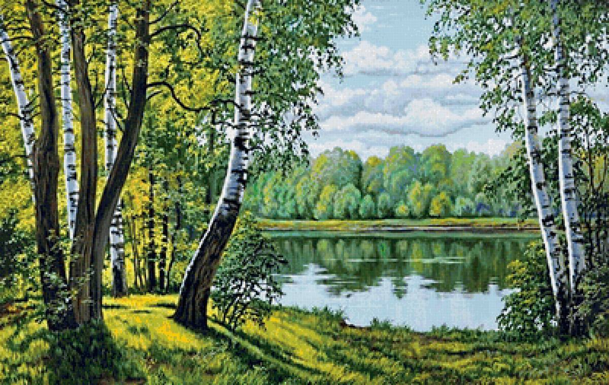 родные просторы - березы, озеро, река, лес, пейзаж, лето - предпросмотр