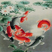 карпы деньги