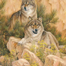 Схема вышивки «Пара волков»