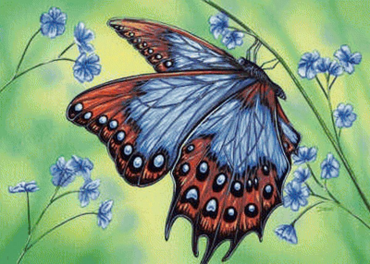 Бабочка на цветке - цветы, бабочка - предпросмотр