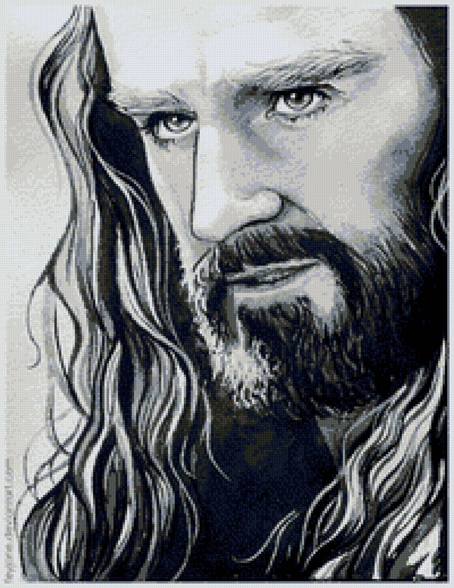 Торин Дубощит - хоббит, властелин колец, торин, торин дубощит - предпросмотр