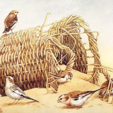 Схема вышивки «птицы»