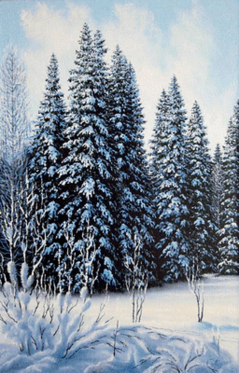 после снегопада - зима, сосны, деревья, снег, пейзаж - предпросмотр