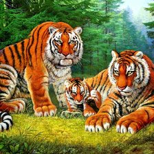 Схема вышивки «тигры»
