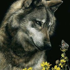 Схема вышивки «Волк»