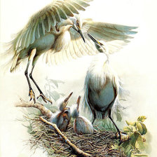 Схема вышивки «№1272821»