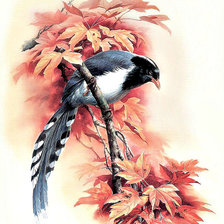 Схема вышивки «№1272835»