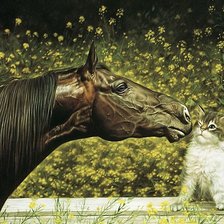 Схема вышивки «Давайте познакомимся!»