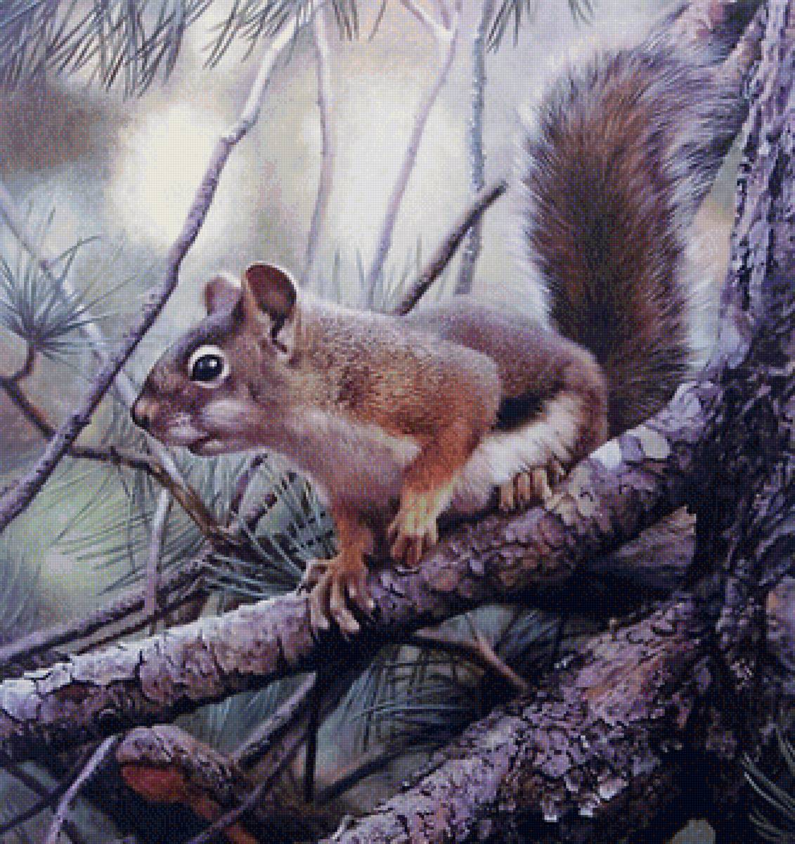 Белочка - природа, лес, звери - предпросмотр