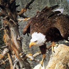 Схема вышивки «В горах.»