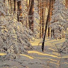 Схема вышивки «снежное царство»